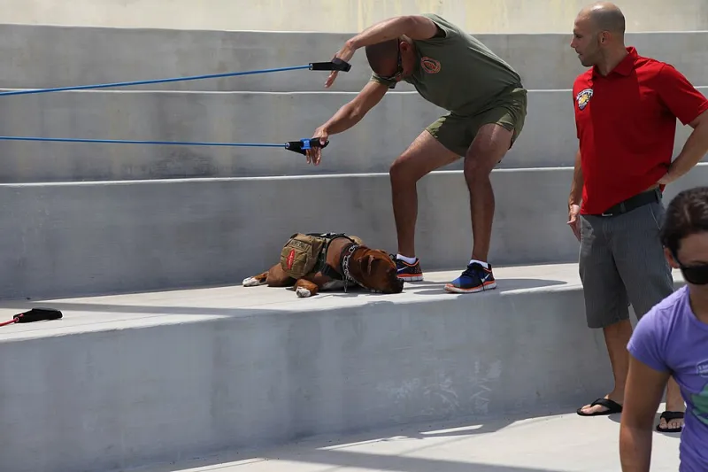 Sweat, Rest, Repeat: How Athletes Are Quietly Making Cannabis Part of Their Recovery Game