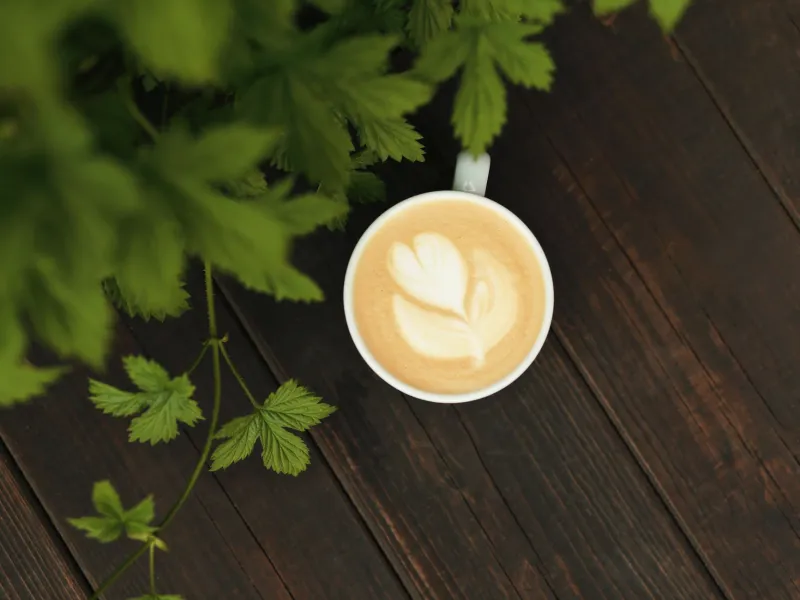 Your Morning Ritual Might Be Working Against You: The Real Science of Mixing Cannabis and Caffeine